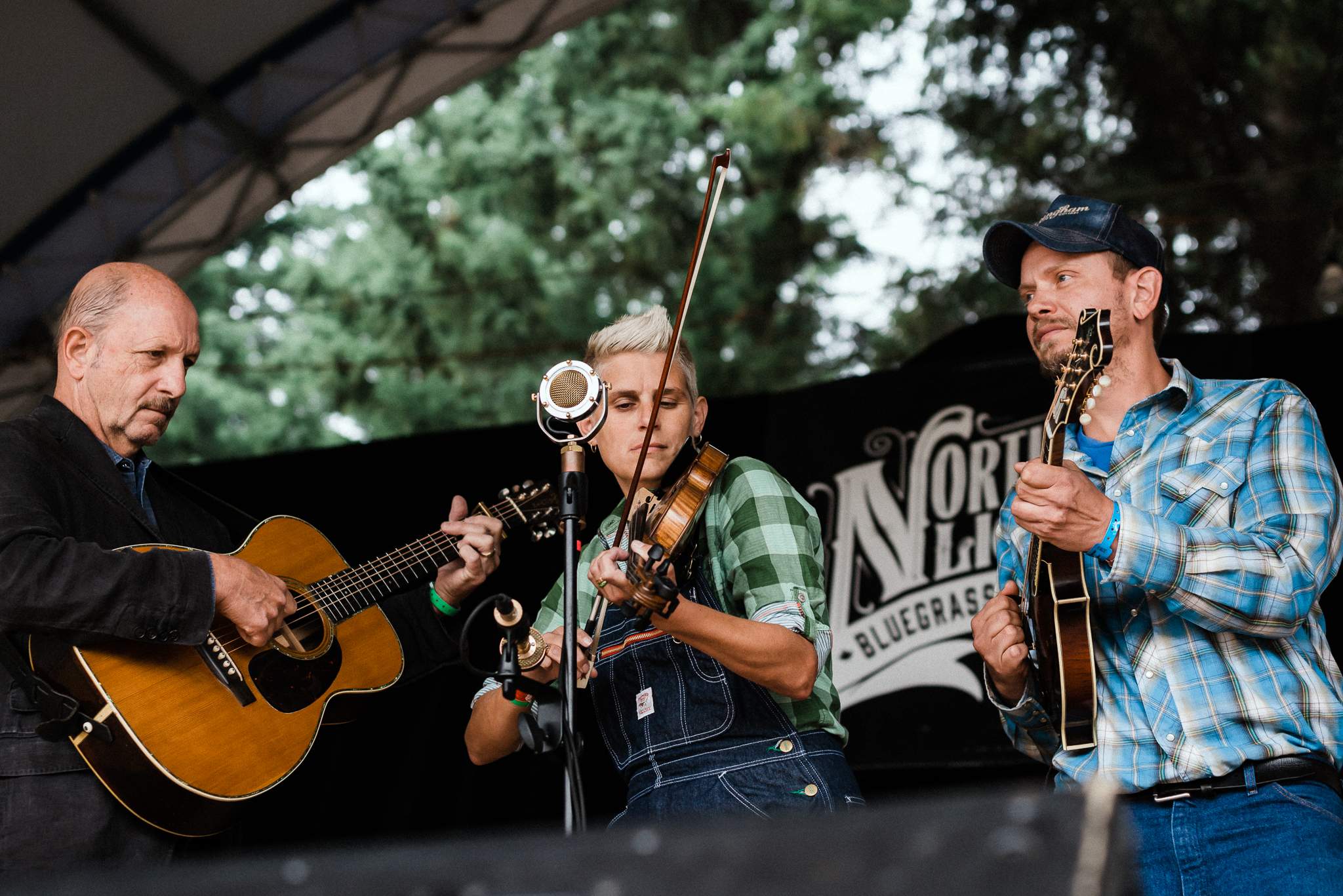 JAMS Northern Lights Bluegrass